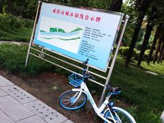 -渭滨公园