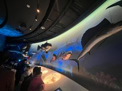 -陕西自然博物馆