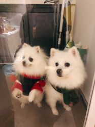 -MZ SKIN CARE逆齢驻颜中心