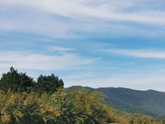 -北京西山国家森林公园