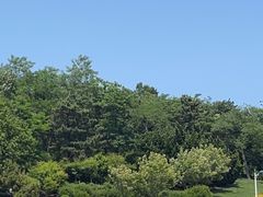 -棒棰岛宾馆景区