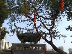 -荔湾湖公园