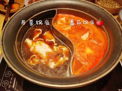 -温野菜涮涮锅(西单大悦城店)