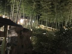 -江南天池高山汤泉城