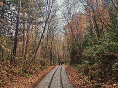 -五营红松林海景区
