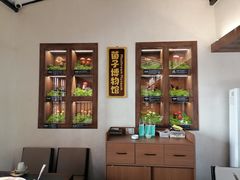-菌自由丨野生菌火锅特色庭院餐厅(丽江古城店)