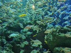 -成都浩海立方海洋公园