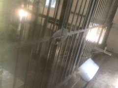 -都江堰中华大熊猫苑