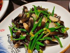 黄瓜花炒鸡枞菌-樽宴酒楼·地道川菜·品质宴请