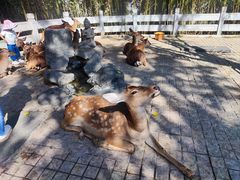 -北京野生动物园