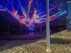 -厦门园林博览苑