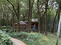 -同里国家湿地公园