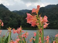 -广州市石门国家森林公园