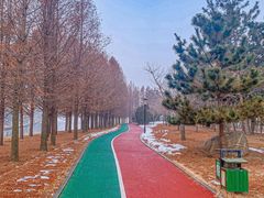 -羊亭河湿地公园