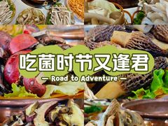 -菌海森林·非遗野生菌火锅(西山区滇池路摩根道店)