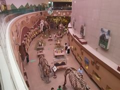 -陕西自然博物馆