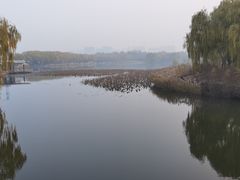 -大兴滨河森林公园
