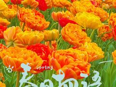 -大宁公园