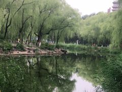 -满都海公园
