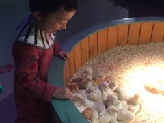 -萌宠奇缘