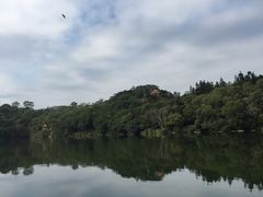 -深圳仙湖植物园-停车场