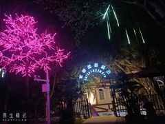 -深圳东部华侨城茵特拉根酒店