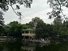 -晓港公园