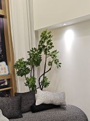 -JNK皮肤管理中心