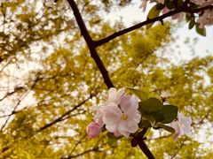 -元大都城垣遗址公园