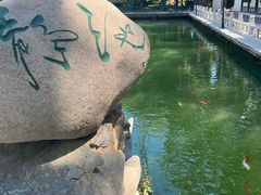 -新川办餐厅
