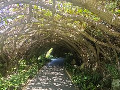 -广西壮族自治区药用植物园