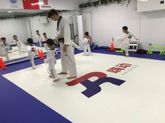 -嗨动跆拳道体能馆(菜百店)