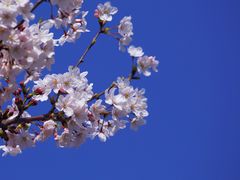 -永乐路-路侧停车场