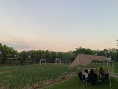 -广东花都香草世界旅游度假区