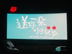 -枫花园汽车电影院(朝阳公园店)