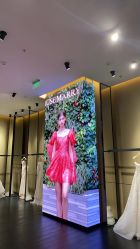 -MuseMarry婚纱(前海嘉里中心店)