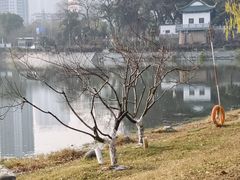 -月湖风景区
