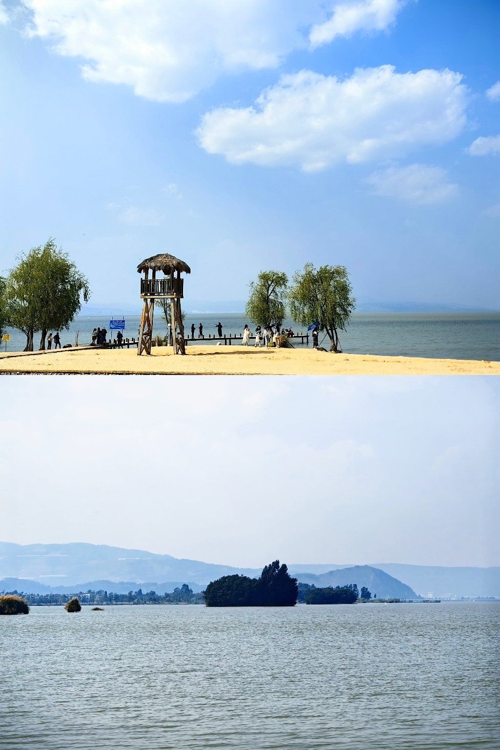 鲸鱼岛