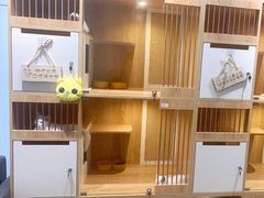 -老吴的猫·猫舍(新区店)