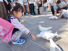 -天津妈祖文化园