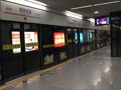 -杨高南路(地铁站)