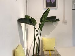 -收获咖啡HARVEST RESERVE(苍山店)