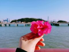-海沧湾公园