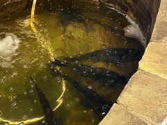 -井水小厨·湘菜(活力广场店)