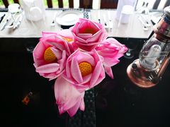 -鲤鱼洲酒店港鲤咖啡厅