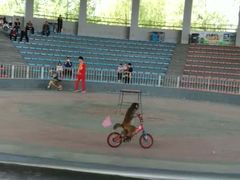 -石家庄市动物园