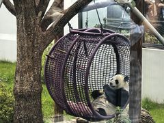-无锡动物园·太湖欢乐园
