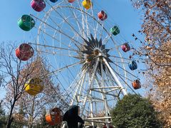 -西安市长乐公园