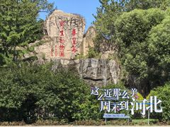 -秦皇岛野生动物园