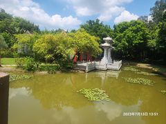 -深圳国际园林花卉博览园